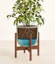 Charger l'image dans la galerie, Sage Green stand:dark
