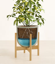 Charger l'image dans la galerie, Sage Green stand:light
