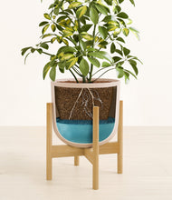 Charger l'image dans la galerie, Sandy Pink stand:light
