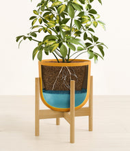 Charger l'image dans la galerie, Sunset Orange stand:light

