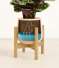 Load image into Gallery viewer, Gentle Pink stand:bamboo
