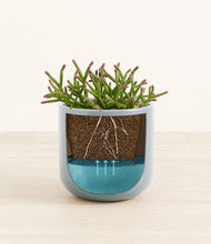 Load image into Gallery viewer, Misty Blue
