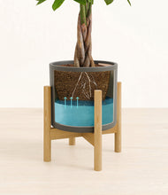 Load image into Gallery viewer, Dark Olive stand:bamboo
