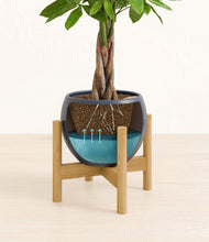 Load image into Gallery viewer, Deep Navy stand:bamboo
