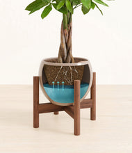 Load image into Gallery viewer, Desert Brown stand:walnut
