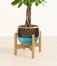 Load image into Gallery viewer, Deep Ocean stand:bamboo
