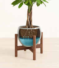 Load image into Gallery viewer, Deep Ocean stand:walnut
