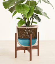 Load image into Gallery viewer, Sandy Pink stand:walnut
