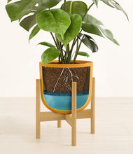 Load image into Gallery viewer, Sunset Orange stand:bamboo
