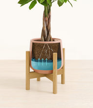 Load image into Gallery viewer, Calm Rose stand:bamboo
