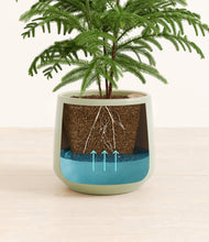 Load image into Gallery viewer, Turquoise stand:all

