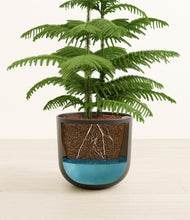 Load image into Gallery viewer, Stone Black stand:all
