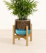 Load image into Gallery viewer, Olive stand:bamboo
