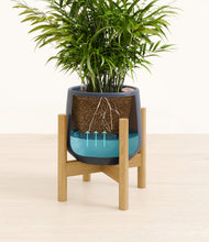 Load image into Gallery viewer, Deep Navy stand:bamboo
