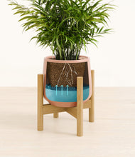 Load image into Gallery viewer, Calm Rose stand:bamboo
