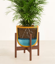 Load image into Gallery viewer, Sunset Orange stand:walnut
