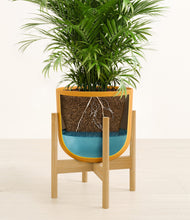 Load image into Gallery viewer, Sunset Orange stand:bamboo
