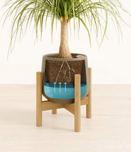 Load image into Gallery viewer, Olive stand:bamboo
