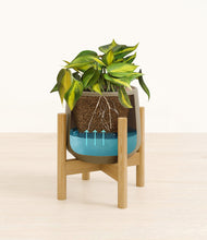 Load image into Gallery viewer, Olive stand:bamboo
