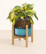 Load image into Gallery viewer, Deep Navy stand:bamboo
