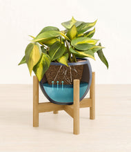 Load image into Gallery viewer, Deep Navy stand:bamboo
