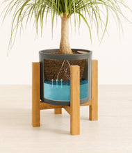 Load image into Gallery viewer, Dark Olive stand:light
