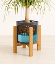 Load image into Gallery viewer, Deep Navy stand:light
