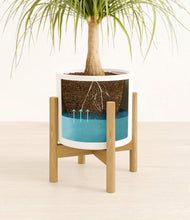 Load image into Gallery viewer, White stand:bamboo
