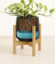 Load image into Gallery viewer, Black stand:bamboo
