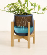 Load image into Gallery viewer, Deep Navy stand:bamboo
