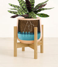 Load image into Gallery viewer, Gentle Pink stand:bamboo
