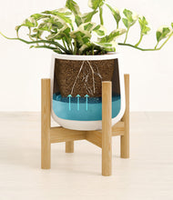 Load image into Gallery viewer, White stand:bamboo
