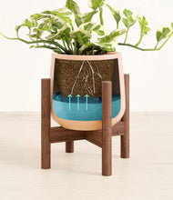 Load image into Gallery viewer, Gentle Pink stand:walnut

