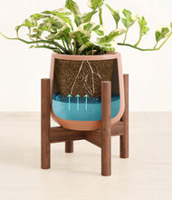 Load image into Gallery viewer, Calm Rose stand:walnut
