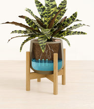 Load image into Gallery viewer, Olive stand:bamboo
