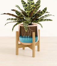 Load image into Gallery viewer, Gentle Pink stand:bamboo
