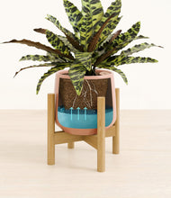 Load image into Gallery viewer, Calm Rose stand:bamboo
