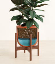 Load image into Gallery viewer, Earth Red stand:walnut

