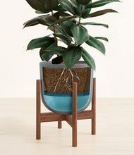Load image into Gallery viewer, Iron Gray stand:walnut
