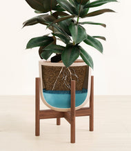 Load image into Gallery viewer, Sandy Pink stand:walnut
