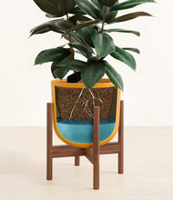 Load image into Gallery viewer, Sunset Orange stand:walnut
