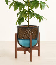 Load image into Gallery viewer, Stone Black stand:walnut
