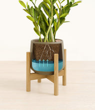 Load image into Gallery viewer, Olive stand:bamboo
