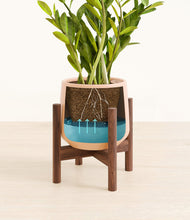 Load image into Gallery viewer, Gentle Pink stand:walnut
