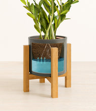 Load image into Gallery viewer, Dark Olive stand:light
