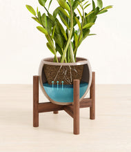 Load image into Gallery viewer, Desert Brown stand:walnut
