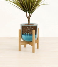 Charger l'image dans la galerie, Reactive Aqua stand:light
