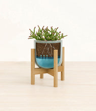 Load image into Gallery viewer, Reactive Aqua stand:bamboo
