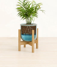 Load image into Gallery viewer, Reactive Aqua stand:bamboo
