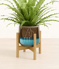 Load image into Gallery viewer, Olive stand:bamboo
